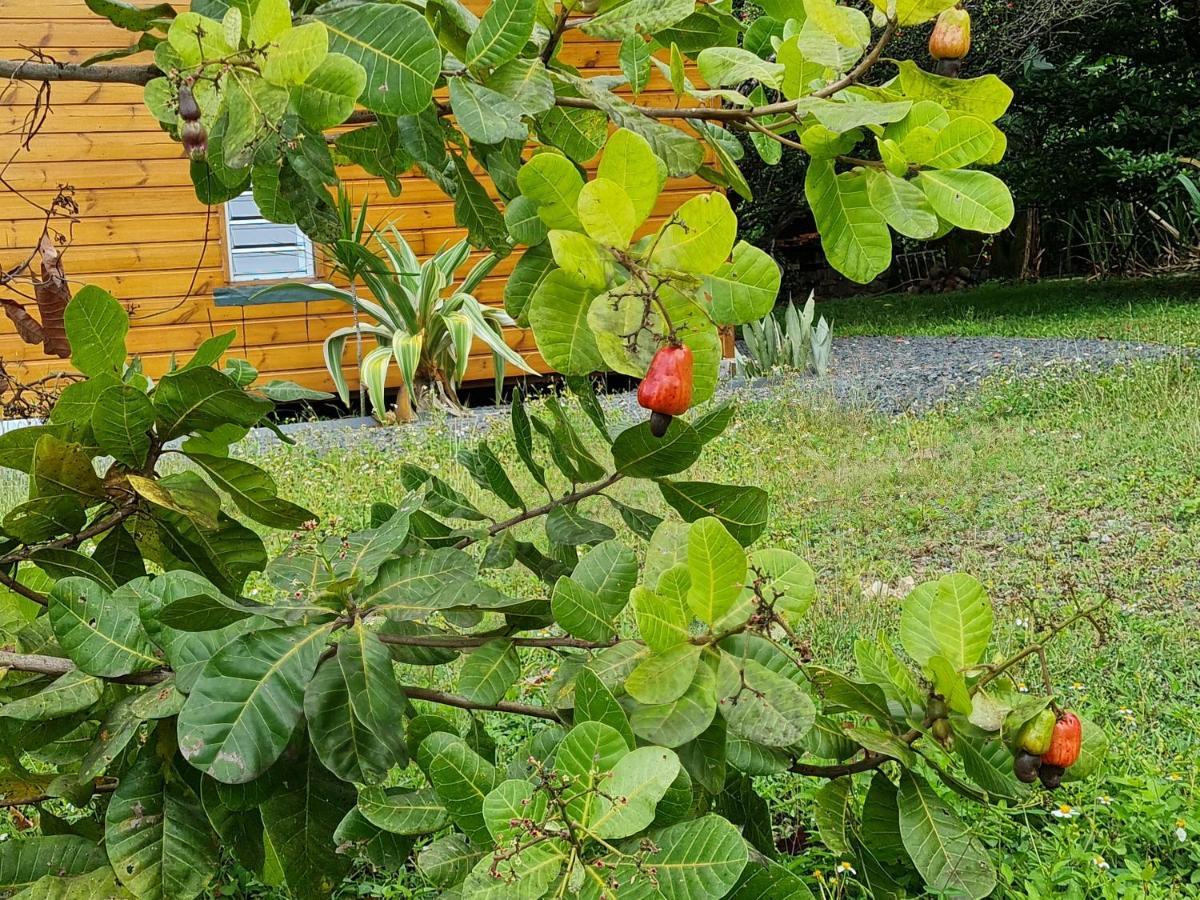 La Kaz Nature Bien-Etre بيتي-بور المظهر الخارجي الصورة