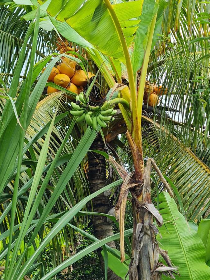 La Kaz Nature Bien-Etre بيتي-بور المظهر الخارجي الصورة