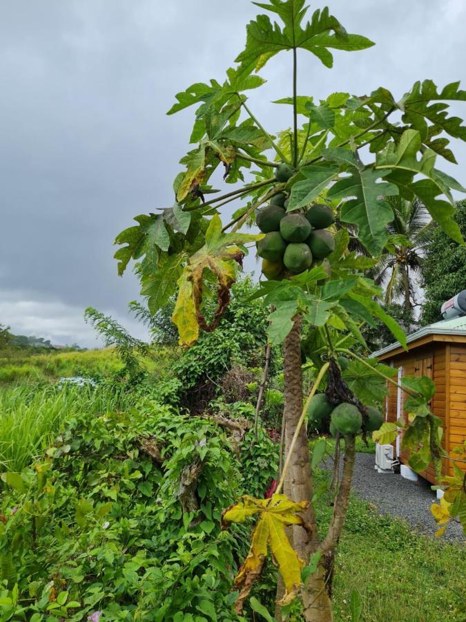 La Kaz Nature Bien-Etre بيتي-بور المظهر الخارجي الصورة
